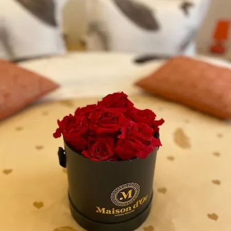 Appartamento Belvedere Splaiul Unirii View *