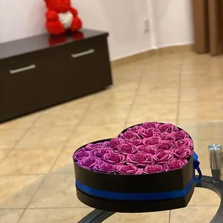 Belvedere Splaiul Unirii View Appartamento