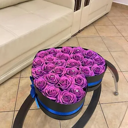 Belvedere Splaiul Unirii View * Bükreş