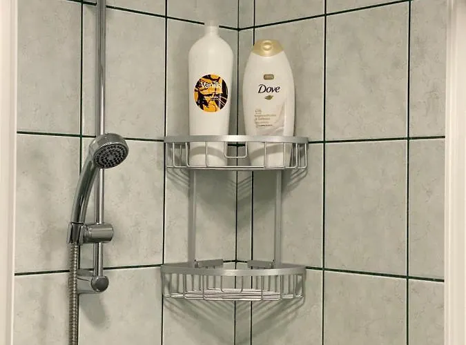 Belvedere Splaiul Unirii View Apartament *