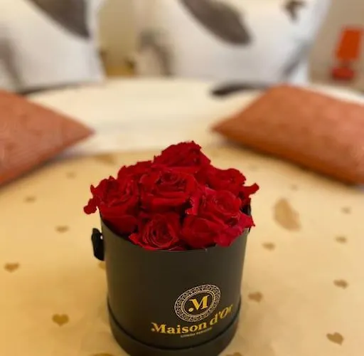 Apartament Belvedere Splaiul Unirii View *