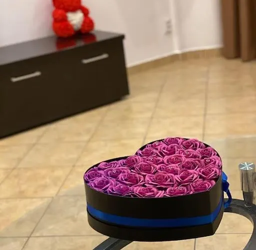 Belvedere Splaiul Unirii View Apartament