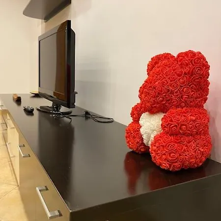 Appartement Belvedere Splaiul Unirii View