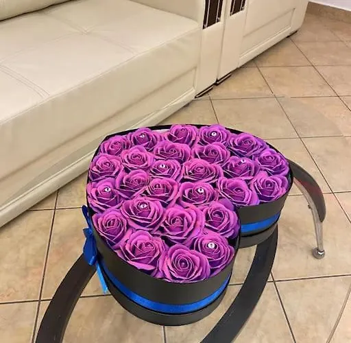 Belvedere Splaiul Unirii View * Bucareste