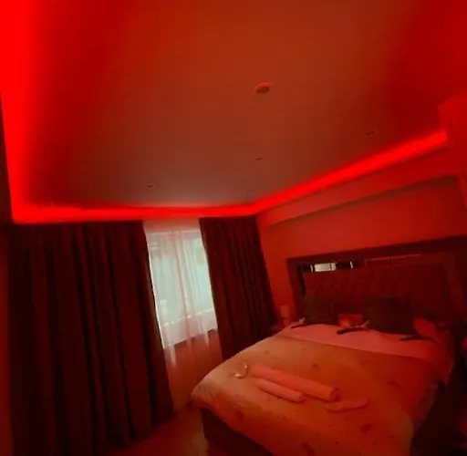 Belvedere Splaiul Unirii View アパート